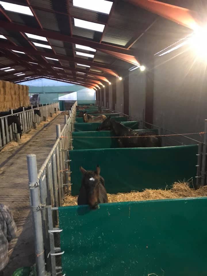 MTZ Baches, votre partenaire local Stiring-Wendel